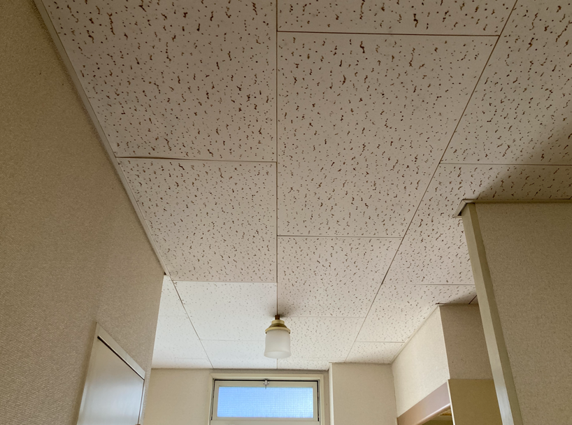 102toso-ceiling211103-1