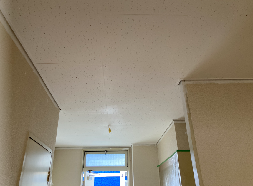 102toso-ceiling211103-10