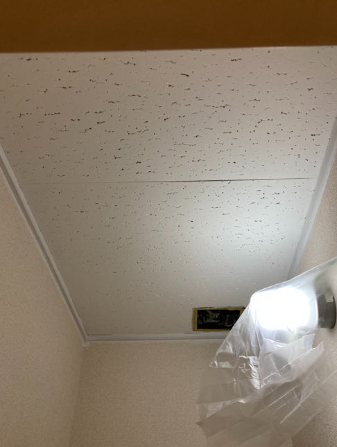 102toso-ceiling211103-11