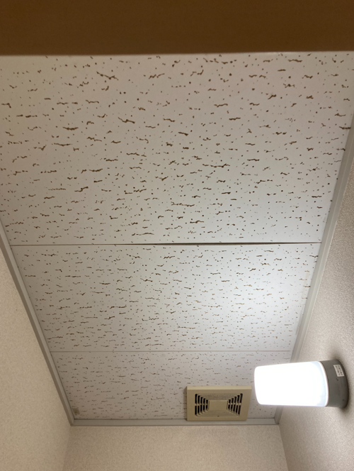 102toso-ceiling211103-6