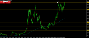 BTCがATH! 久しぶりにwalletを覗こう