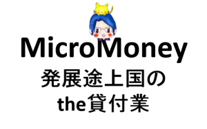 4-122【1万円投資】発展途上国のthe貸付業「MicroMoney」に期待して、AMMトークンを購入