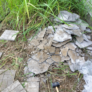 雑草に敗けた薄いモルタルのガレキ廃棄