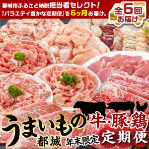 2024年のふるさと納税、都城お肉と沼津トイレットペーパー