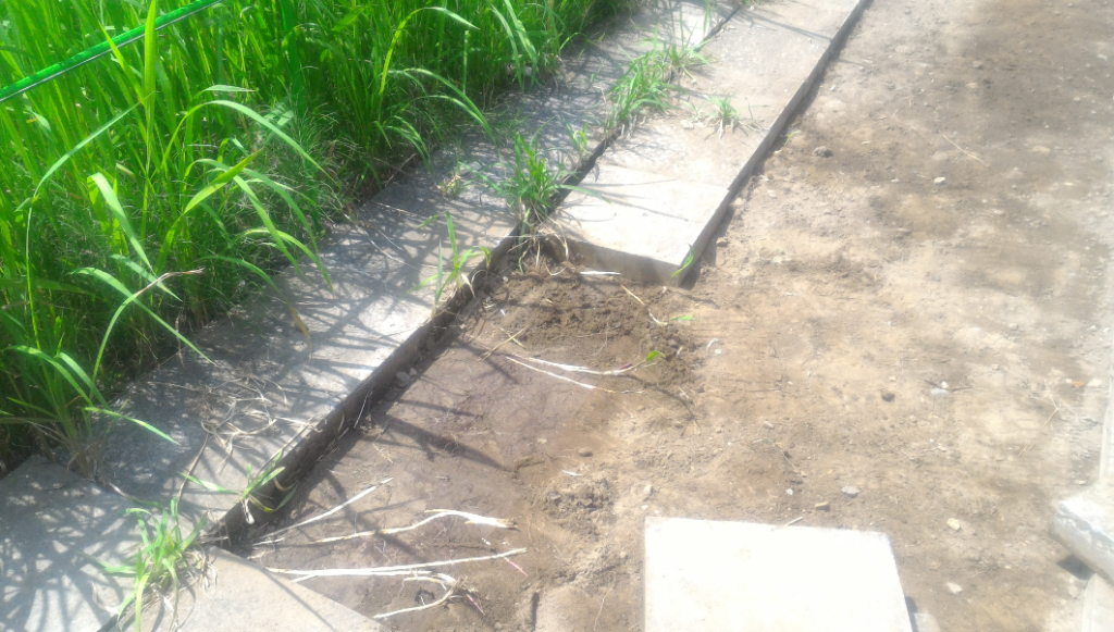 【草対策】戸建ての庭が雑草でヒドイ…DIYのビフォーアフター 20代会社員からの身銭を切った投資ブログ