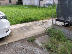 家の草がボーボー、今年も除草剤を撒こう