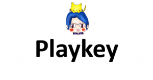 5-19 Playkey(PKT)のICOに参加してから約半年、分散型クラウドゲームの課題チェック