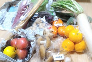3-63 「ふるさと納税」寄付して、野菜に喜ぶ私～田野町～