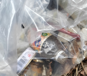 不法投棄物と隣地クレームの進捗、まさかの入居チャンスあり?